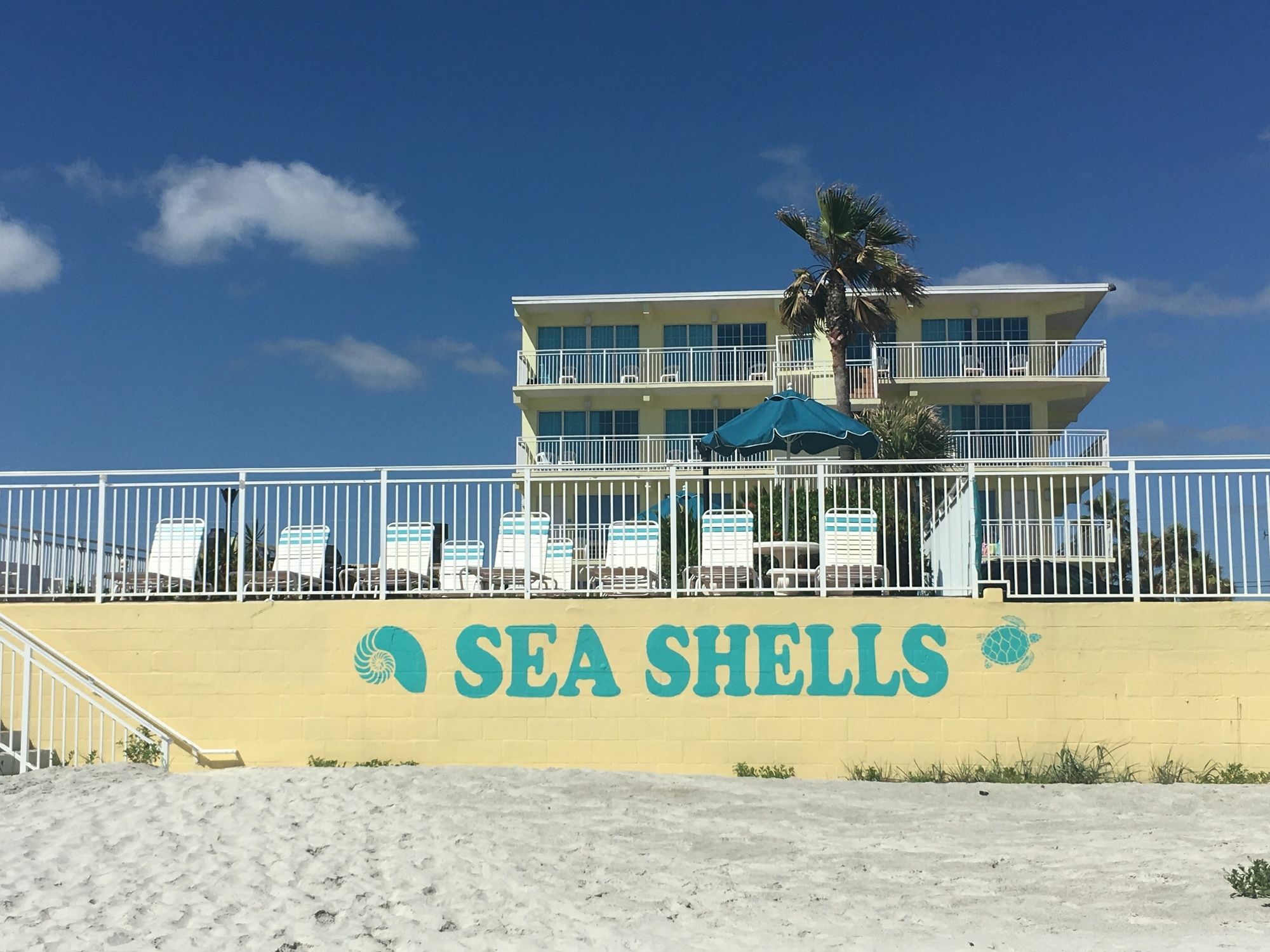 Sea Shells Beach Club Daytona Beach Zewnętrze zdjęcie